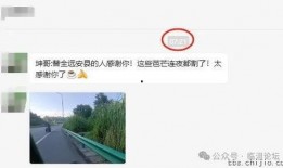 远安最新爆料事件,揭秘事件背后惊人真相