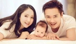 爱娱乐吃瓜欢,揭秘娱乐圈幕后故事