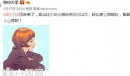 对家小花爆料视频,娱乐圈背后的惊人真相