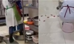 武汉学校爆料视频最新,揭秘校园内幕